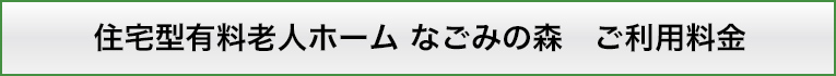 住宅型有料老人ホーム なごみの森　ご利用料金