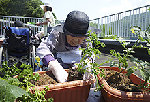 写真